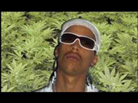 Ardilla - Llegar a mi Ft. Canserbero & La Zaga