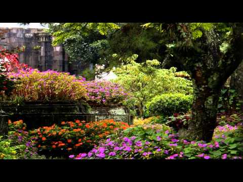 Pasión [Folklore de Costa Rica]