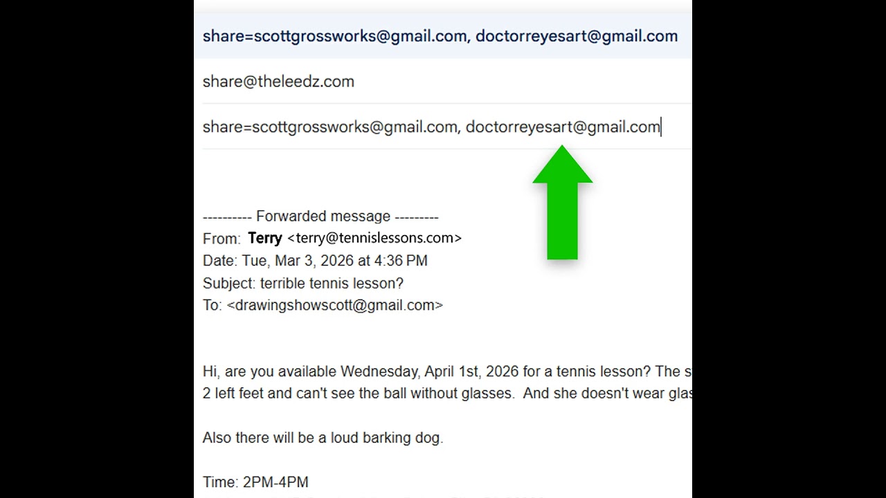 The Leedz demo video