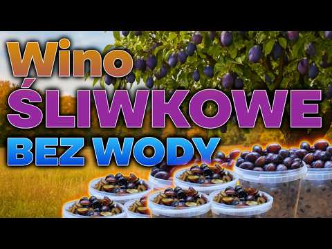 Jak zrobić domowe wino ze śliwek 🍷 Krok po kroku | Naturalne wino śliwkowe bez chemii