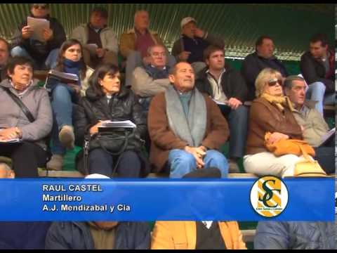 RAUL CASTEL - A.J.Mendizabal y Cia - Santa Rosa -La Adelina - Loberia - 05/09/2013