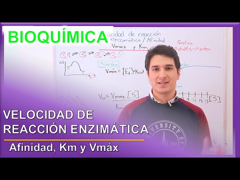 Enzymatic Reaction Rate EASY. Intermediate Level for Beginners || Camach Learn