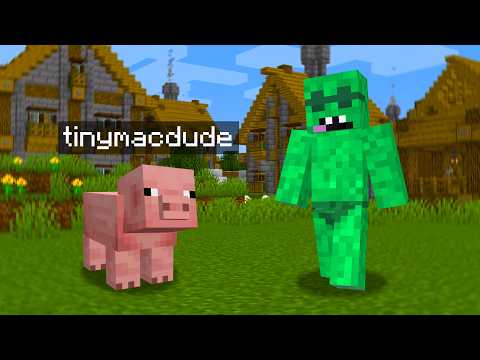 Hide and Seek as Mobs in Minecraft