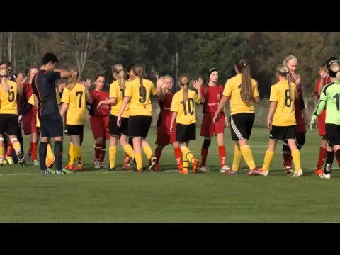 Vimmerby IF - Kaptener för mångfald