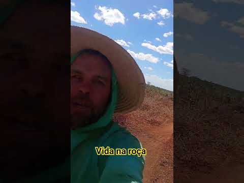 fazenda Diniz besouro de são Gabriel ba