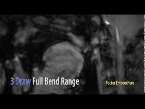 Video Footage of MRI Harmonica Bending Study with David Barrett and Stanford University