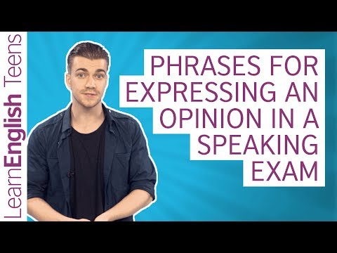 Phrases for expressing an opinion