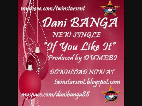 Dani Banga- If U Like It (Produced by Dumebi)