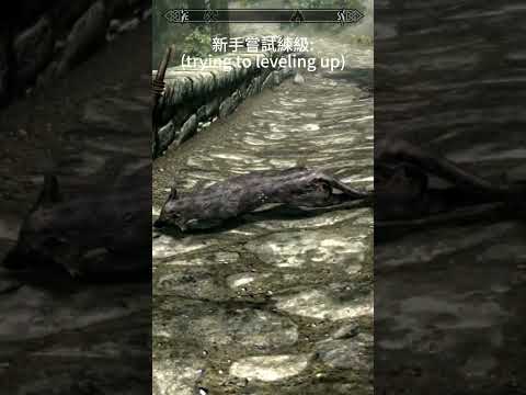 【上古卷軸V】當你第一天嘗試升級 #skyrim #無界天際 #theelderscrollsvskyrim