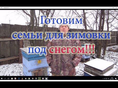 ОЧЕНЬ ВАЖНО!!! ПОДГОТОВКА ПЧЕЛОСЕМЕЙ ДЛЯ ЗИМОВКИ НА ВОЛЕ ПОД СНЕГОМ!!!. Beekeeping.🔥🔥🔥