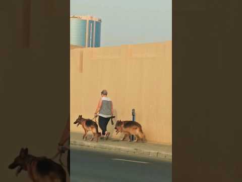 Hislerim | Dogs | Shorts