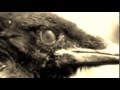 Myssouri - My Eye 