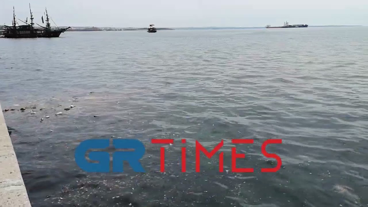 Thessaloniki: Thermaikos voller ertrunkener Ratten (Video)