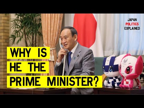 Deciphering "Habatsu" Factions of the LDP