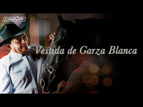 Vestida De Garza Blanca | @Aries Vigoth (Audio Oficial)