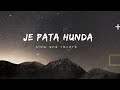 Slow and Reverb  Nimra Mehra's Je Pata Hunda | New Punjabi Song 2024