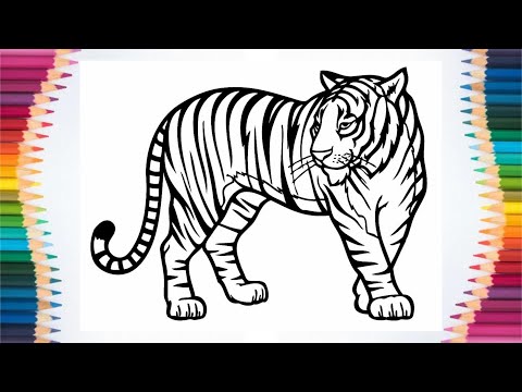 Tiger Coloring Page | Drawning, Coloring and Painting for Kids, Toddlers - 4K 60FPS