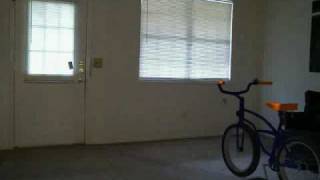 My One-Speed Bike Walks with a Limp