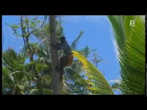 Alofi  , l'ile Soeur de FUTUNA ...