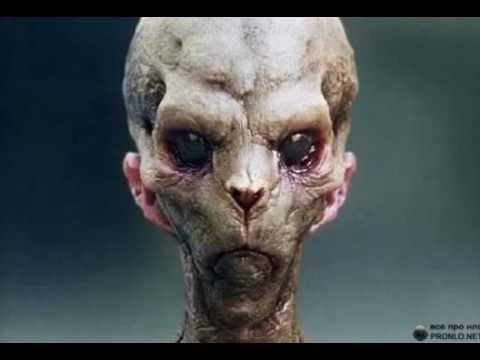 Projest ab8800880088 pres. - The Blackmaster - Black Is Back (Original Mix)