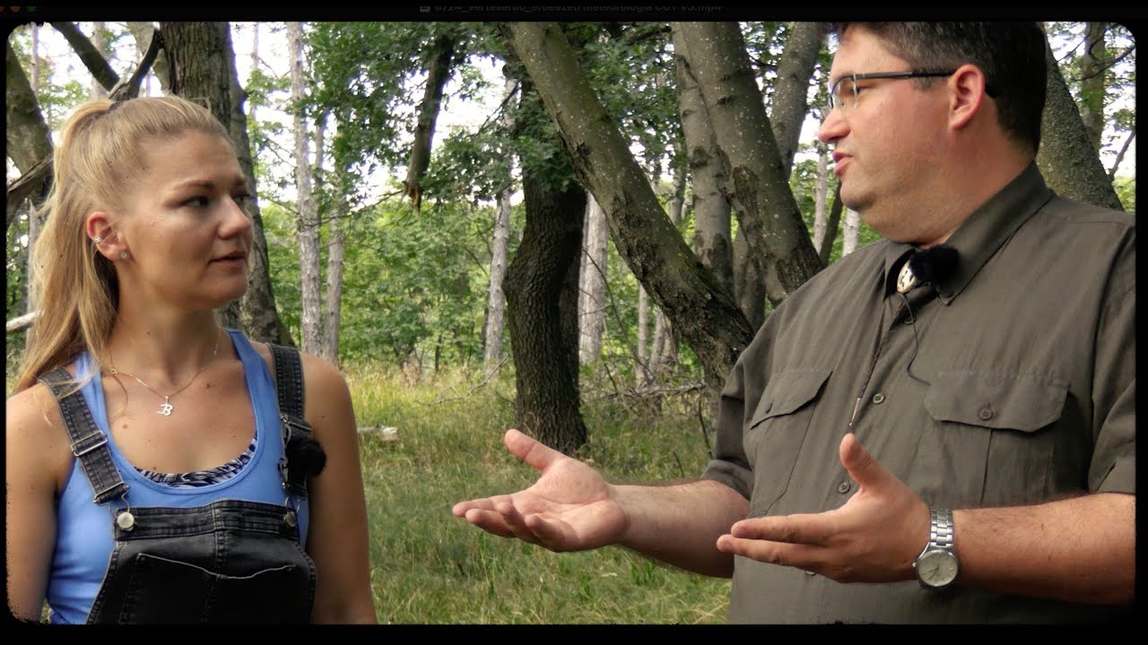🌳🌦Mi fán terem az erdészeti meteorológia? 🌡 #erdőmánia #vérteserdő