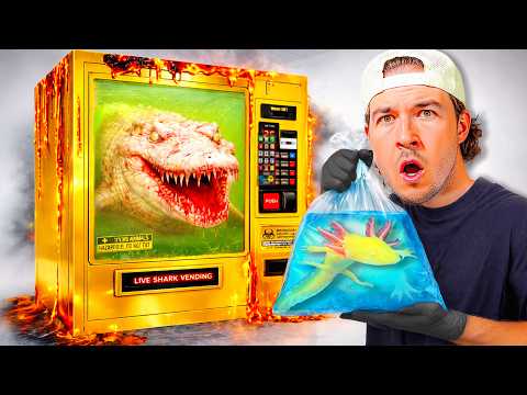 I Bought Live Sea Monsters from a Vending Machine...