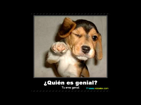 Dj Power Nacional (W.D)