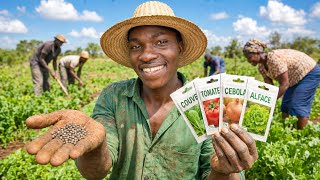 Download lagu We Started a Farming Cooperative in the Countryside 😱 mp3 Download lagu We Started a Farming Cooperative in the Countryside 😱 mp3