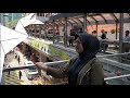MAN MO THE PEAK CENTRAL HK ISLAMIC CENTER SYMPHONY OF LIGHT HK VLOG 5