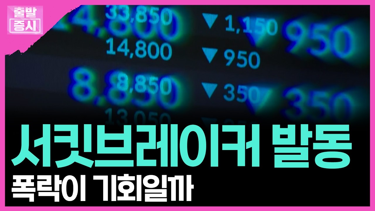 서킷브레이커 발동...폭락이 기회일까 | 박정언 캐스터
