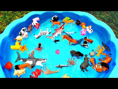 Lots of Zoo Wild Animals Learn Colors For Children With Real Safari Videos