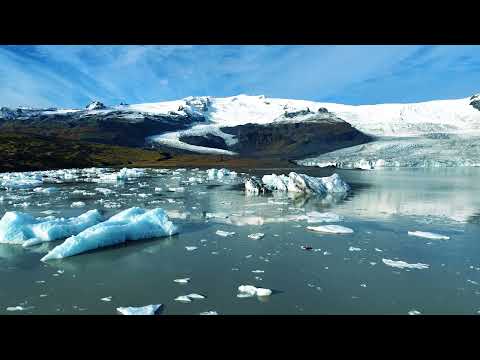 Mogli - cupped and open (official visualizer)