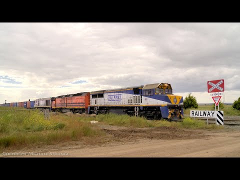 VL361, CLF4 & EL53 Leading 7922V SCT / SBR Dooen Container Train  (15/11/2021) - PoathTV Railways