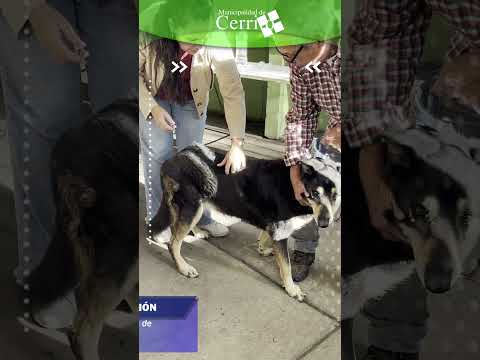 CERRITO - ENTRE RÍOS