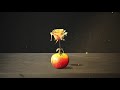 Wale Poke It Out Feat J Cole Official Audio