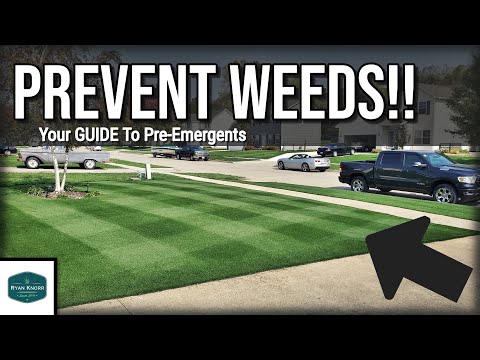 Your GUIDE To Pre Emergents // What They DO and DON'T Do For Your Lawn