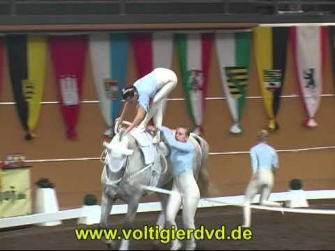 DVM 2010 - Gruppen - 11 VRG Schäferhof I