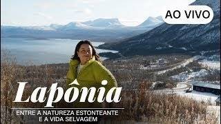 Vídeo: AO VIVO: Lapônia: entre a natureza estonteante e a vida selvagem | CNN Viagem & Gastronomia