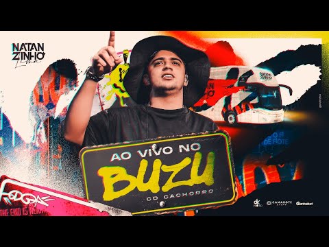 Vai Voltar Chorando - Natanzinho Lima
