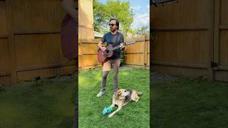 Specks in the backyard with Will. #singersongwriter #indiemusic