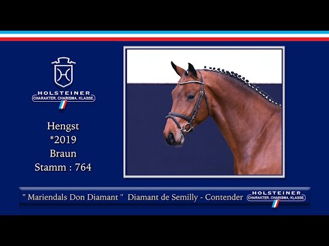 36. Holsteiner Frühjahrsauktion 2022 | Nr. 28 Mariendals Don Diamant