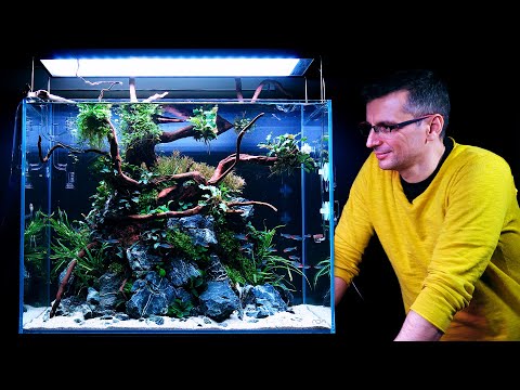 SHAMELESS CLONING In Aquascaping | Building a 60H Planted Tank