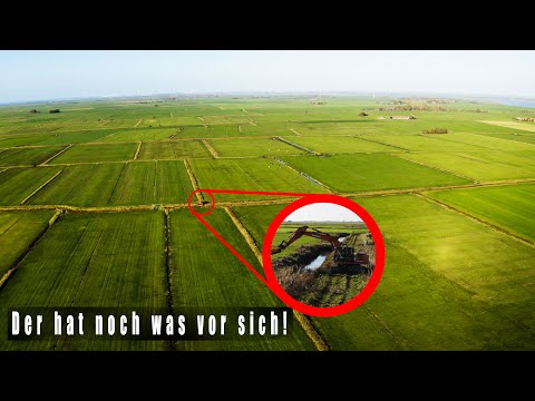 Lohnbetrieb Hilmar Thomßen | Gewässerunterhaltung mit Bagger und Auslegemulcher MIT FÖRDERBAND | 4K