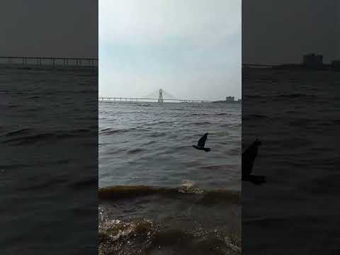 #song #love #music #shortsfeed #trending #travel#viralvideo#beach@JabirAliofficial1