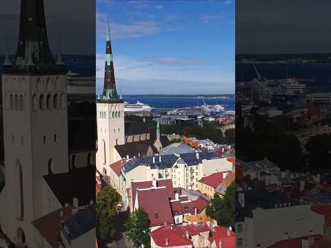 Top 5 Things to Do in Tallinn 🇪🇪 | Estonia’s Fairytale Capital in 60 Seconds!