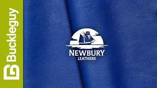 Newbury Leathers, Nappa | Royal Blue | USA Leather Demo