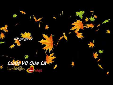 Luân vũ của lá Sheet - Lynh Nghy