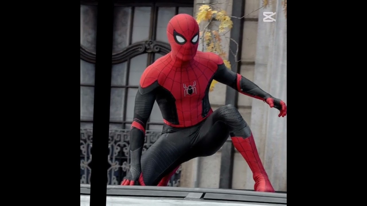 I put them in randomly. What do y'all think? it meant will btw(The roblox avatars r for my friends.)