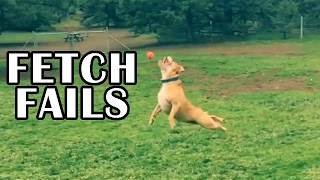 Dog Fetch FAILS