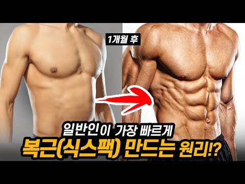 일반인이 복근 만드는법